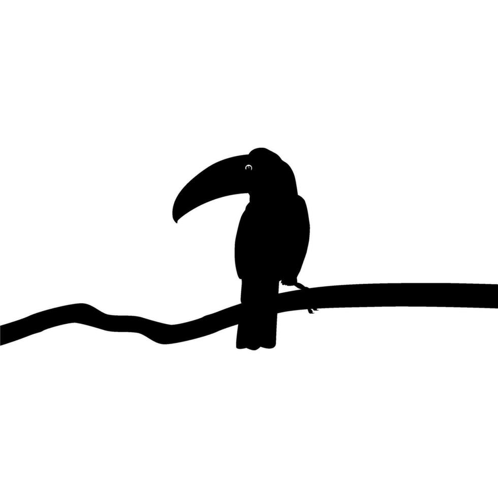 Toucans are Neotropical members of the near passerine bird family Ramphastidae. The Ramphastidae are most closely related to the American barbets, Bird Silhouette. Vector Illustration