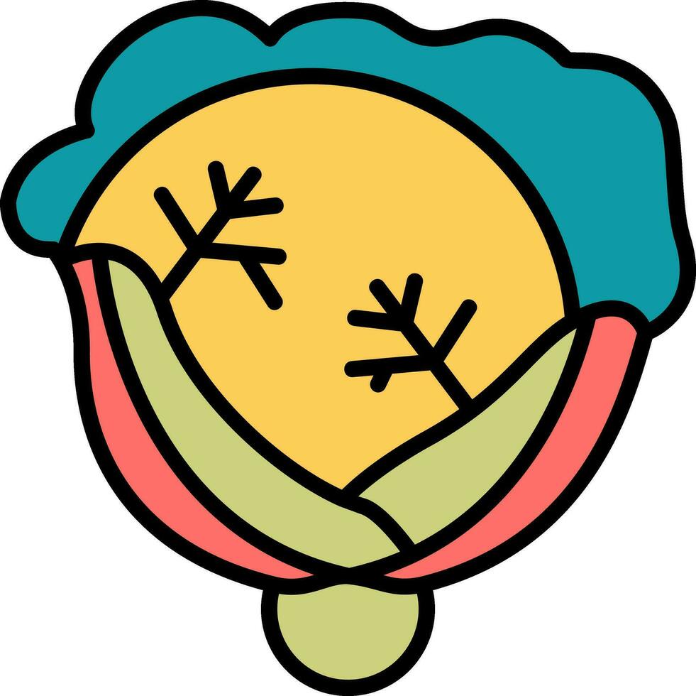 Cabbage Vector Icon