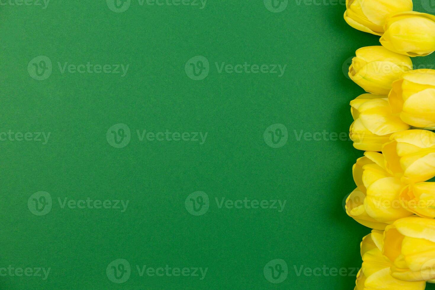 Yellow tulips flowers on dark green background. Valentines, womens, mothers day, easter, birthday or wedding spring holiday flat lay. Top view. Copy space. photo