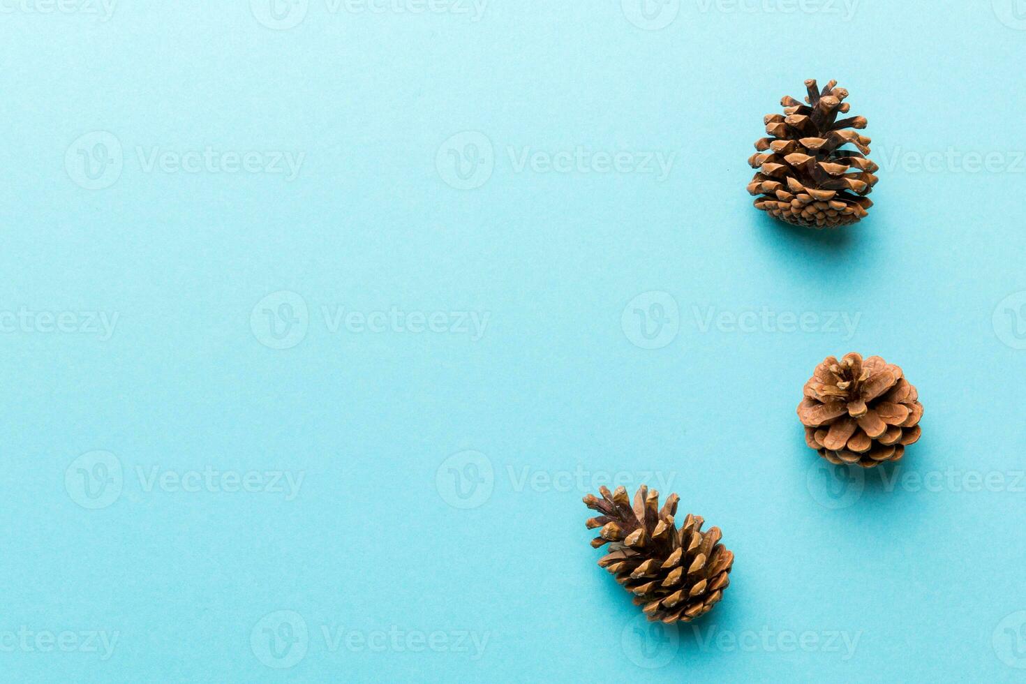Christmas pine cones on colored paper border composition. Christmas, New Year, winter concept. Flat lay, top view, copy space photo