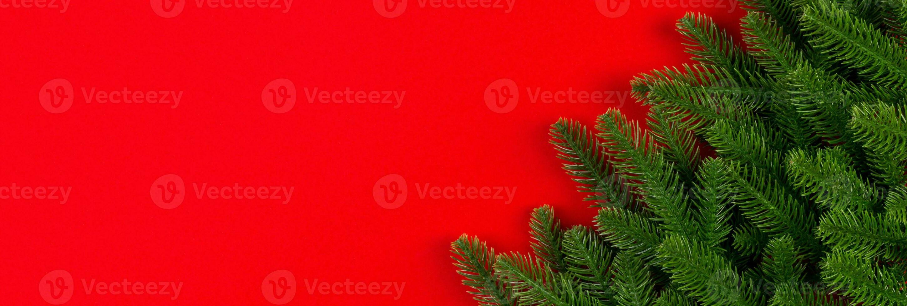 Top view Banner of green fir tree branches on colorful background. New year holiday concept with empty space for your design photo