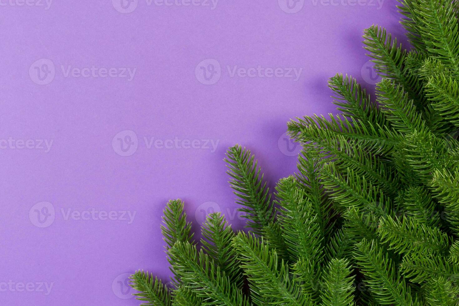 Top view of frame made of fir tree on colorful background with copy space. Merry Christmas concept photo