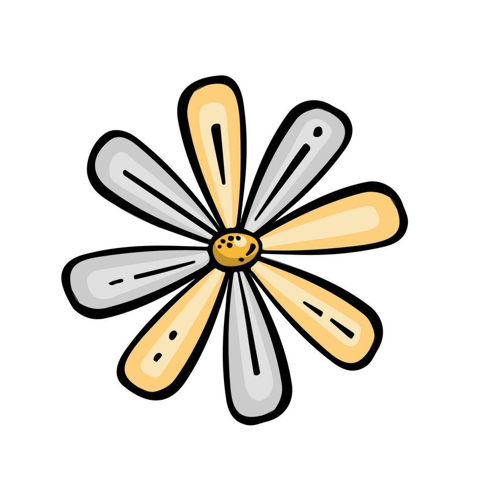 manzanilla flor blanco y amarillo, vector ilustración