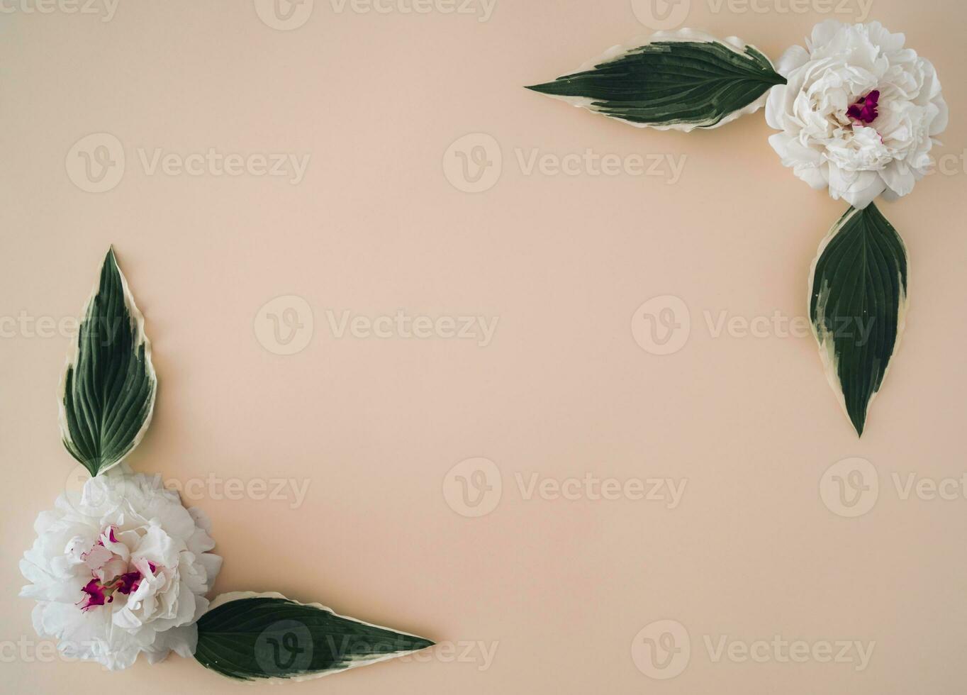 Creative frame made of white roses and green leaves on pastel background. Minimal nature concept. Flowers aesthetic. Flat lay, top of view. photo