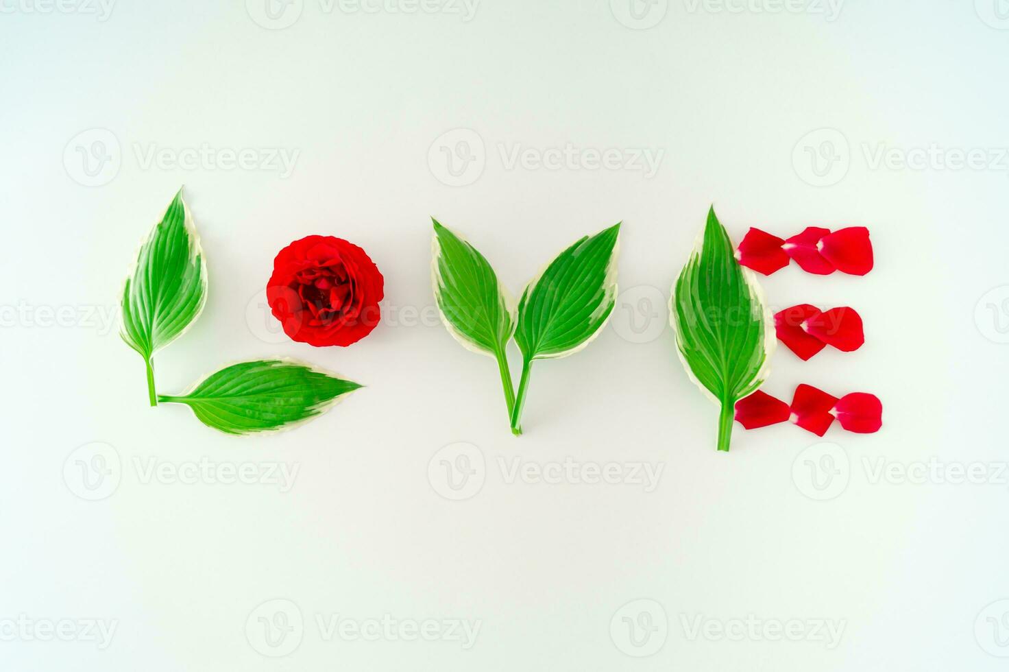 Love made of flowers and petals on white background. Love concept. Flat lay. Nature aesthetic composition. photo