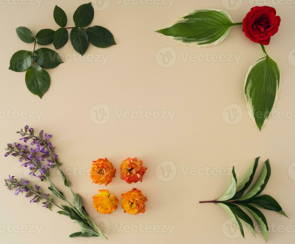 Creative frame made of various flowers and green leaves. Flowers aesthetic idea. Minimal flat lay concept. photo