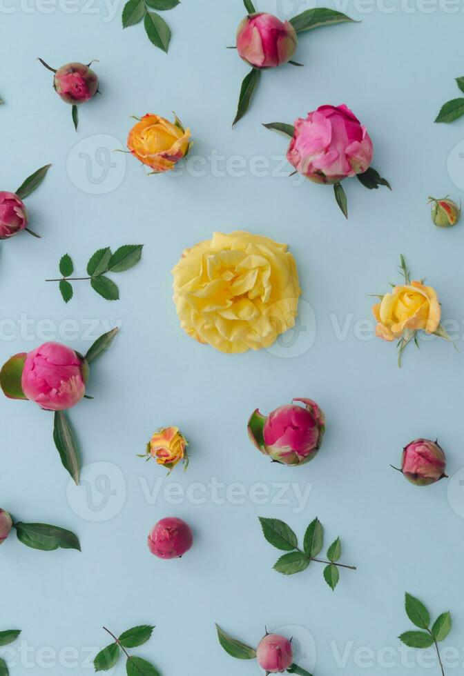 Creative pattern made of colorful flowers on pastel blue background. Minimal flat lay style. Flowers aesthetic. photo