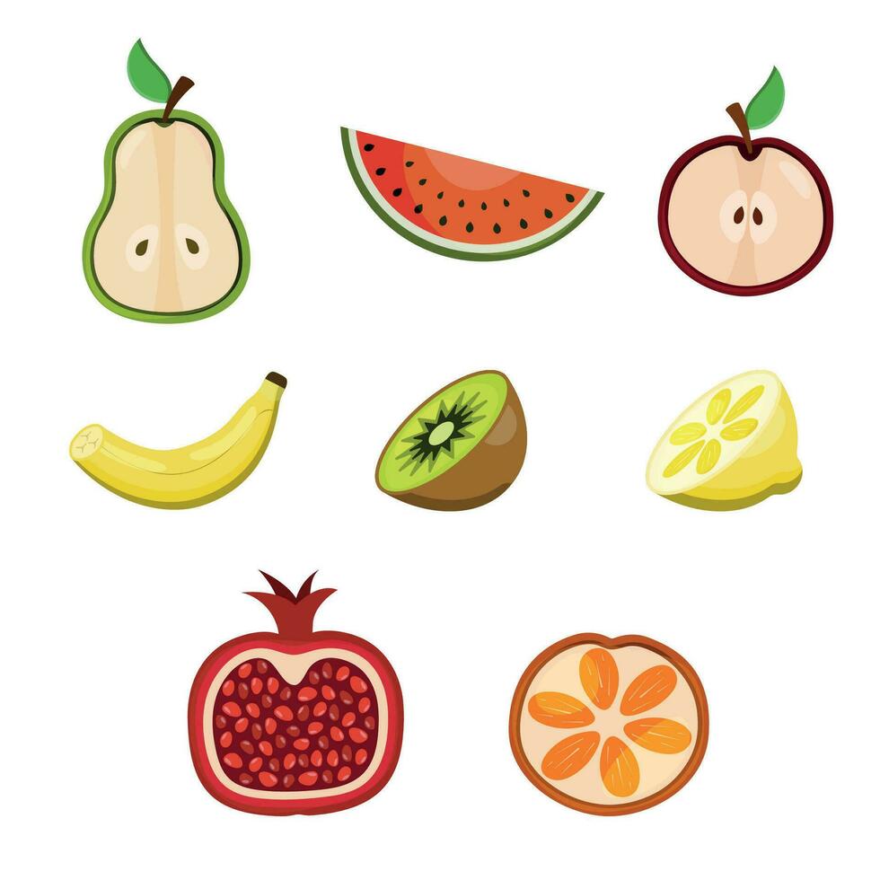 Set of juicy slices of fruit on a white background vector