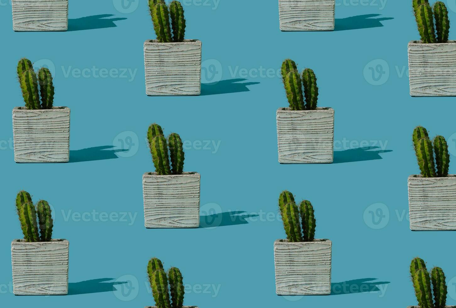 Trendy cactus pattern on bright blue background. Summer minimal concept. Creative cactus idea. photo