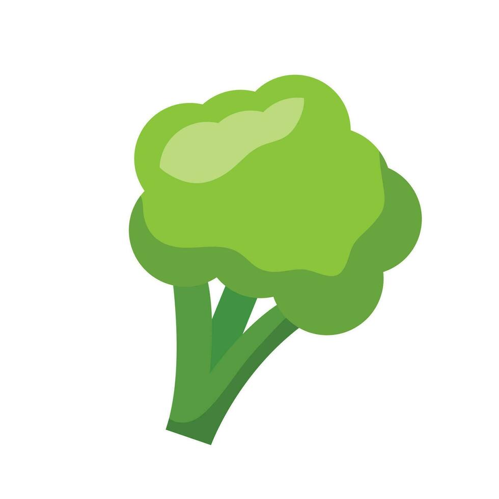 Vector healthy green broccoli graphic illustration