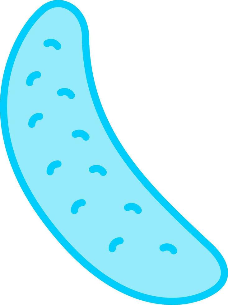 Cucumber Vector Icon