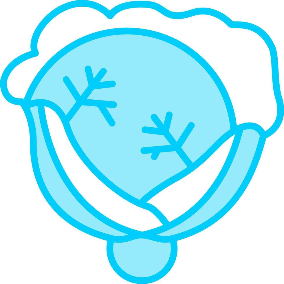 Cabbage Vector Icon