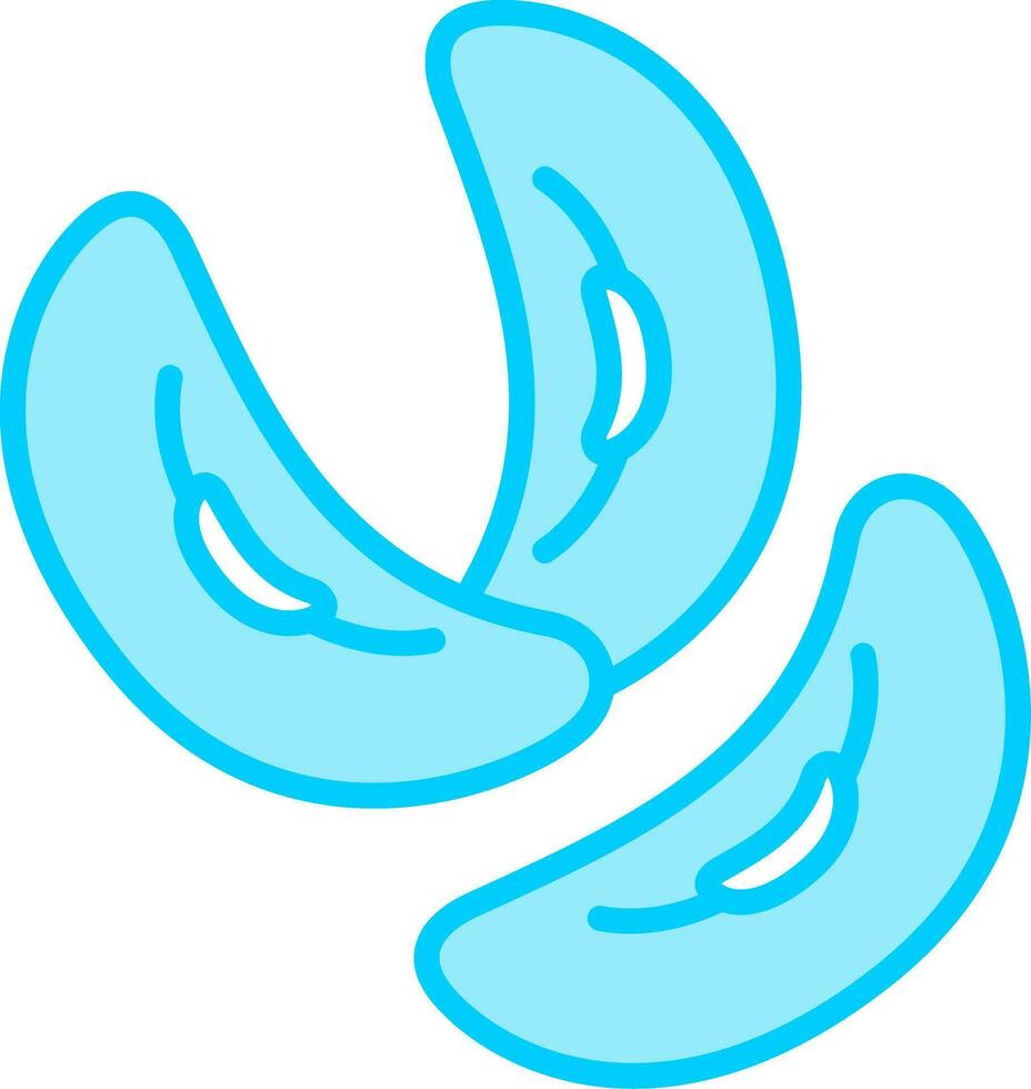 Kidney Bean Vector Icon