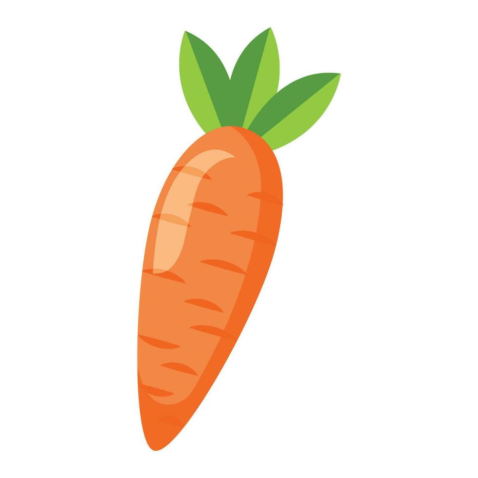 vector sano naranja zanahorias gráfico ilustración