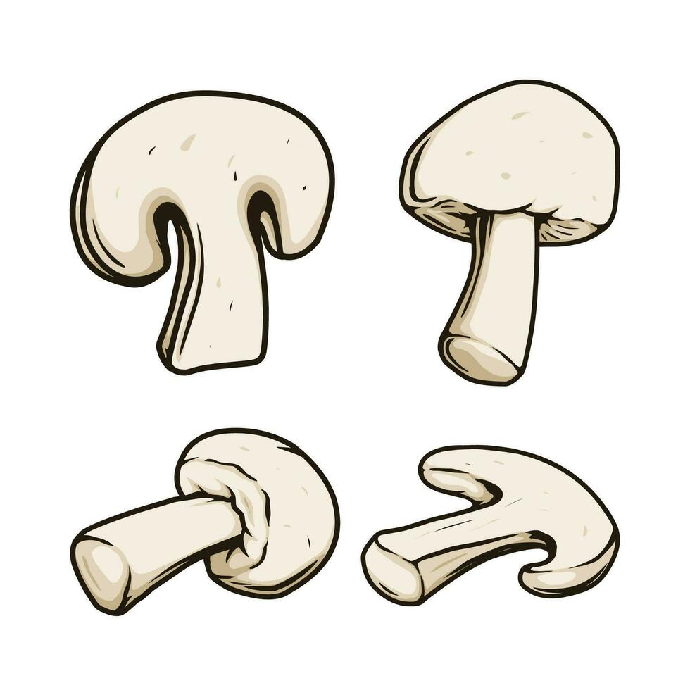 mushrooms vector isolated on white background