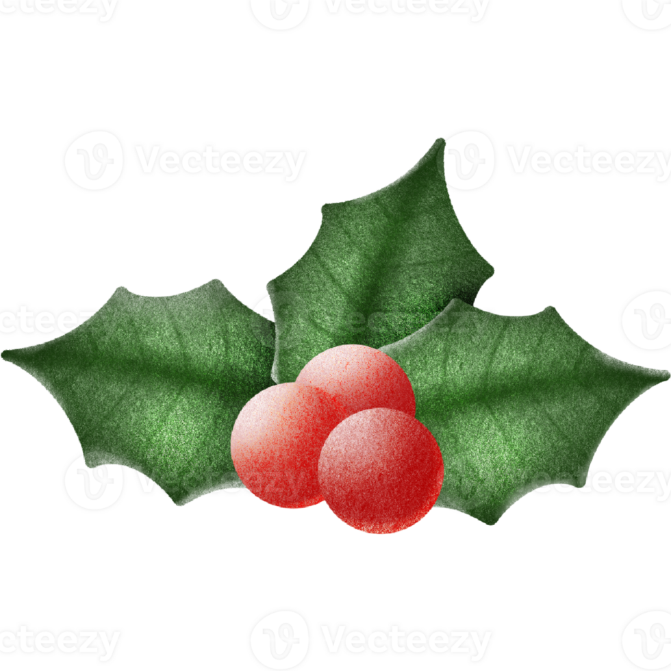 Lovely christmas decorations png