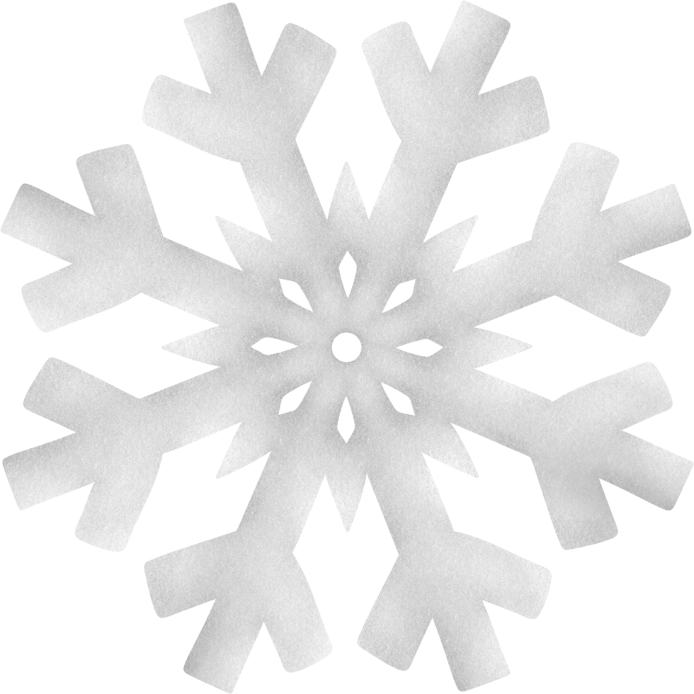 en snö flaga png