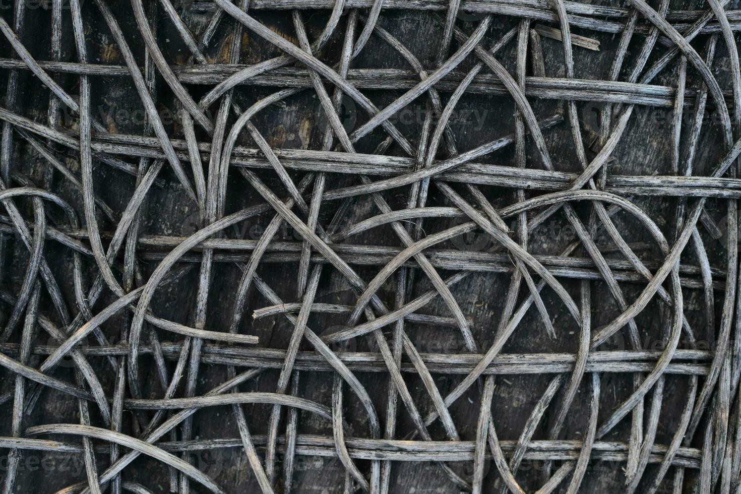 The background of the rattan tree decays over time. photo