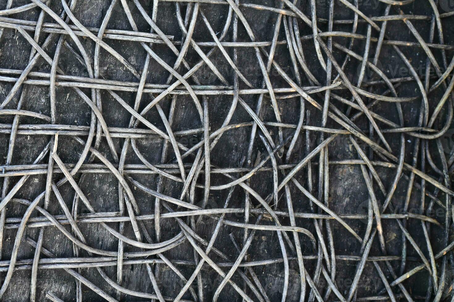 The background of the rattan tree decays over time. photo