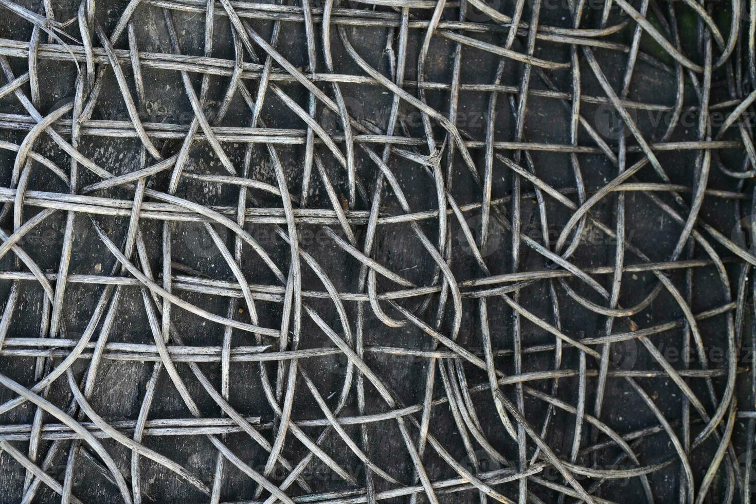 The background of the rattan tree decays over time. photo