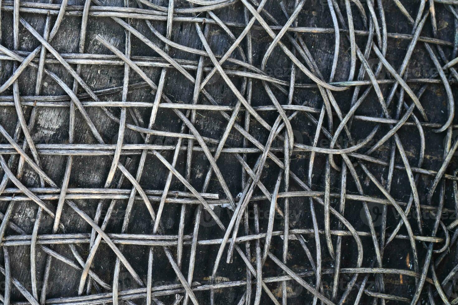 The background of the rattan tree decays over time. photo