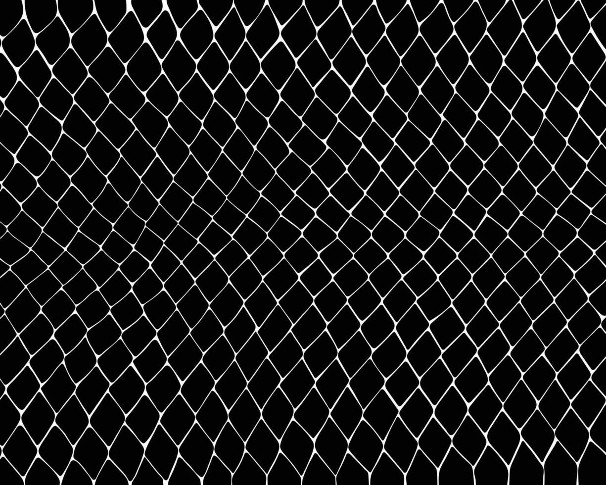 Vector black snake print pattern animal seamless. Snake skin abstract for printing, cutting, and crafts Ideal for mugs, stickers, stencils, web, cover. wall stickers, home decorate and more.