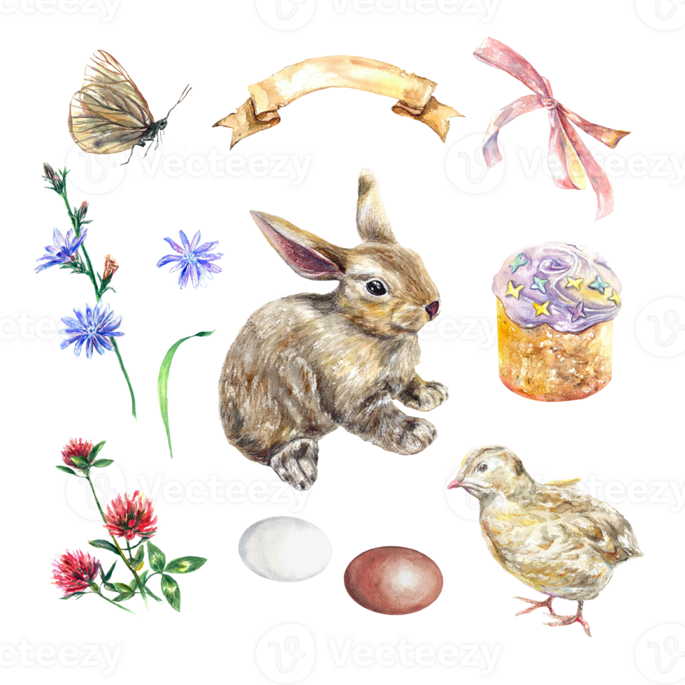 Rabbit, Easter cake, chicken, eggs, chicory, clover, butterfly. Watercolor illustration of Easter set. Design element for greeting cards, invitations, flyers. png