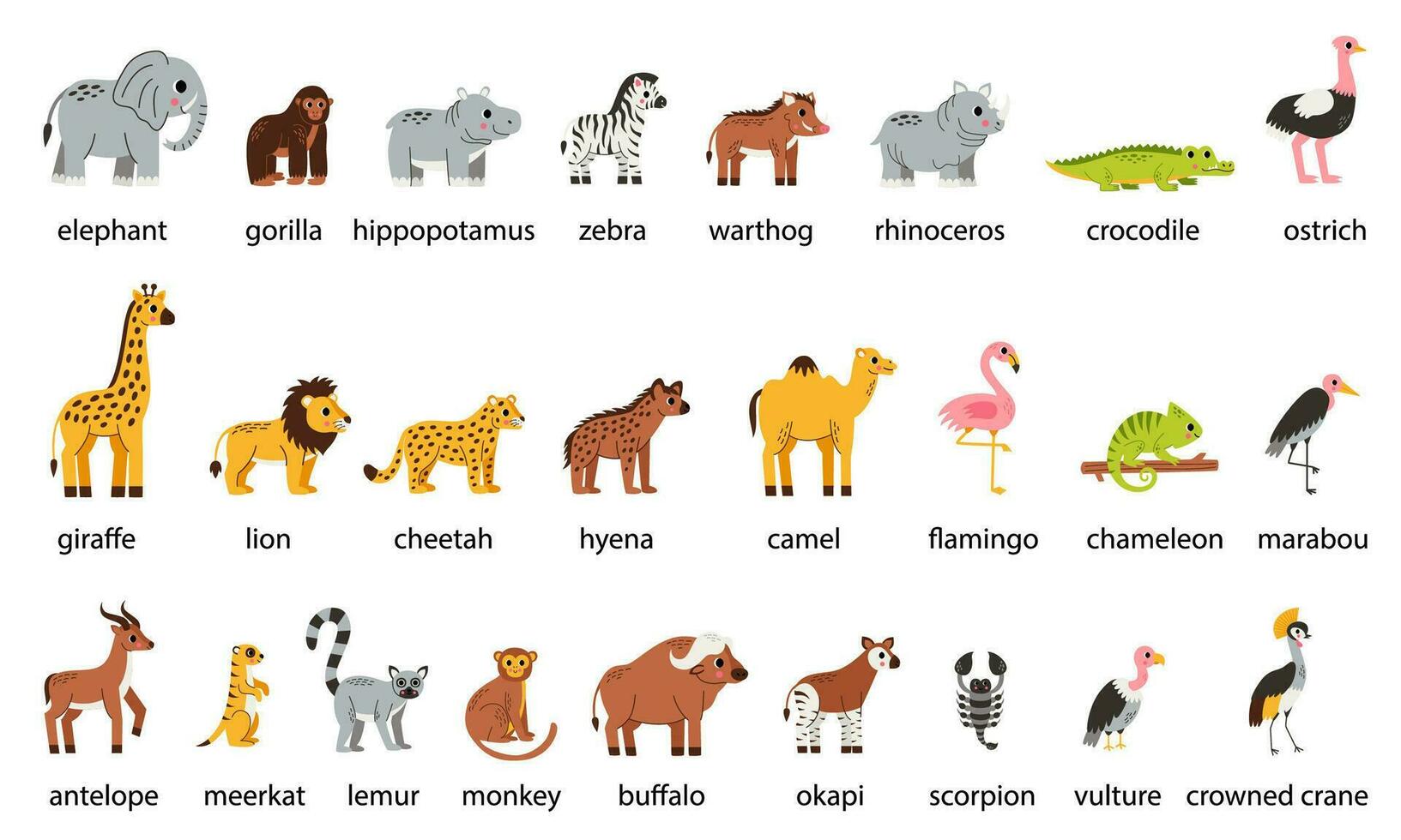 Set of cute African animals with names in cartoon style on white background. vector