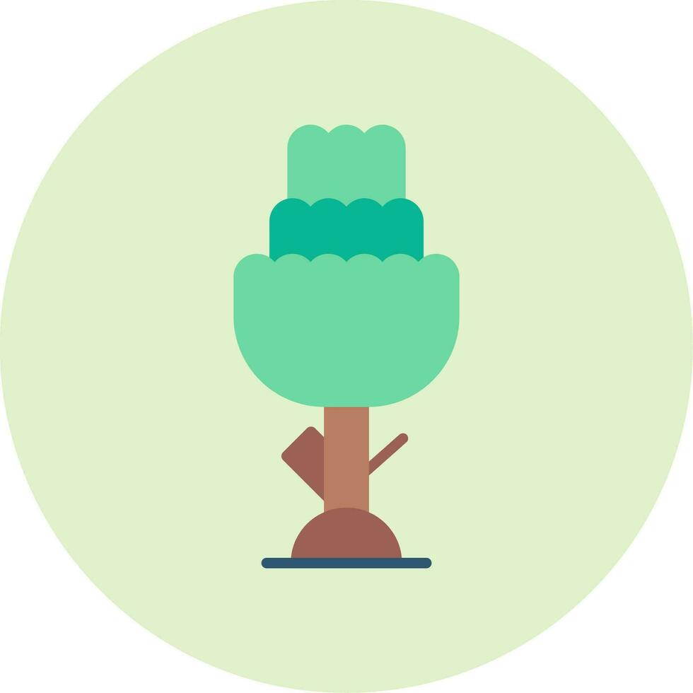 Cedar Vector Icon