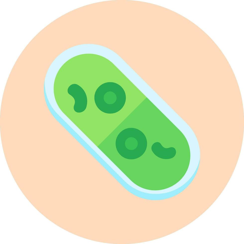 Cylindrocystis Vector Icon
