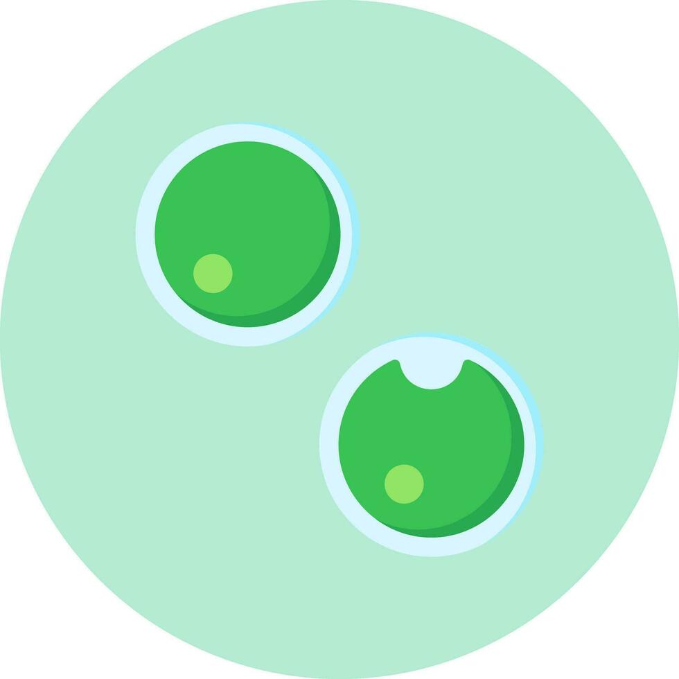 Chlorella Vulgaris Vector Icon
