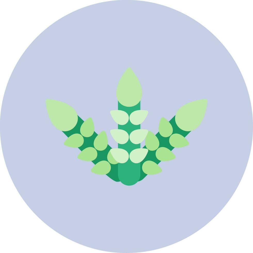Asparagus Vector Icon