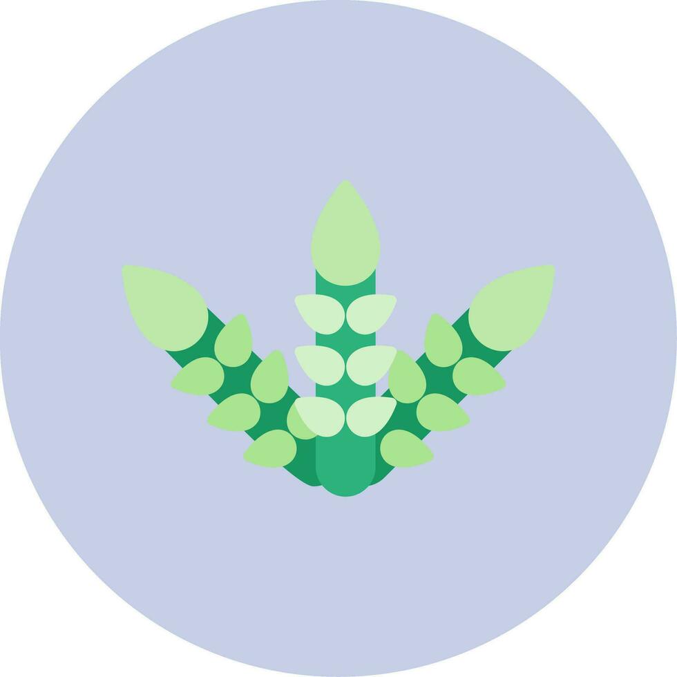 Asparagus Vector Icon