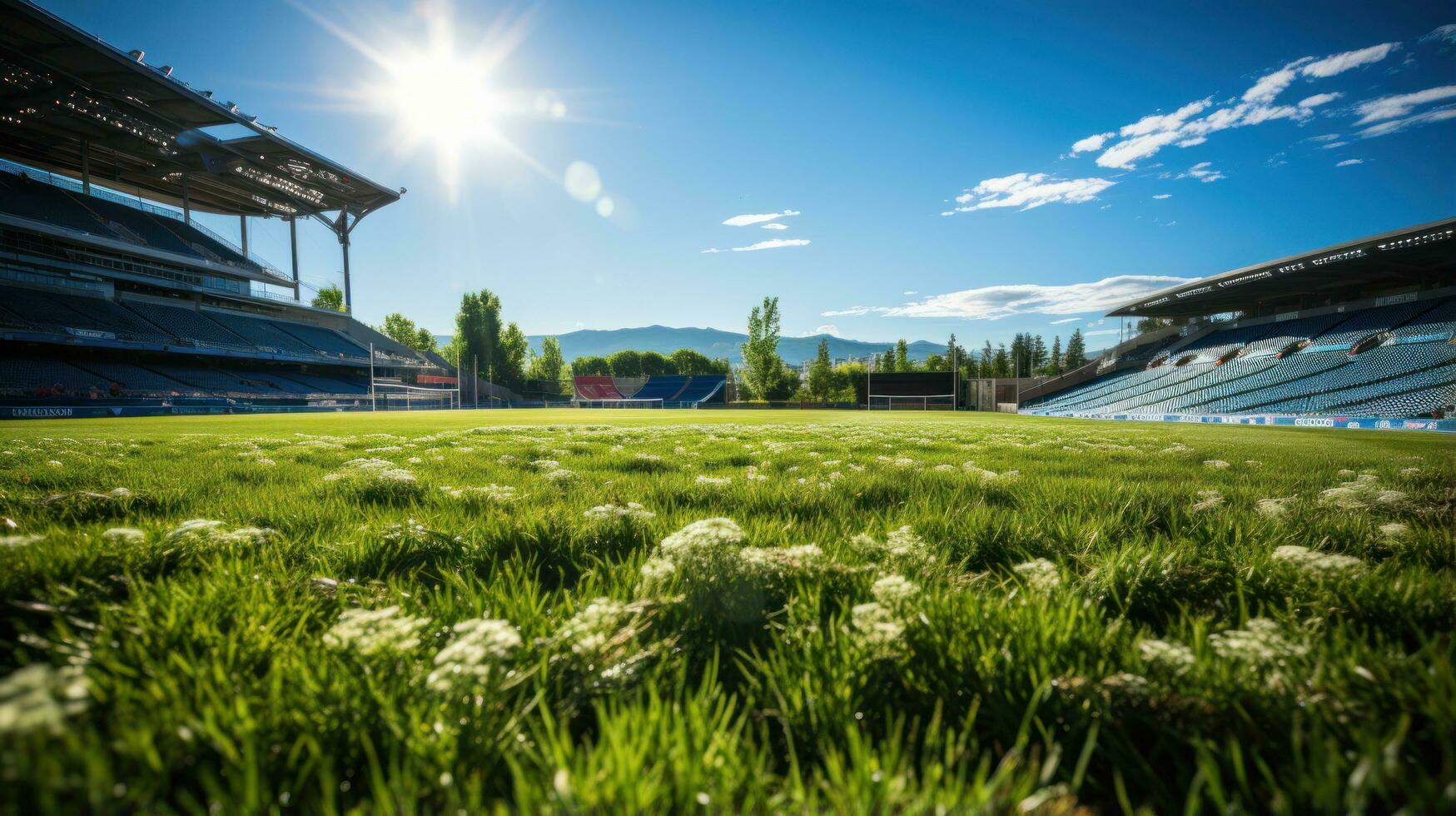 A soccer stadium with a lawn field photo