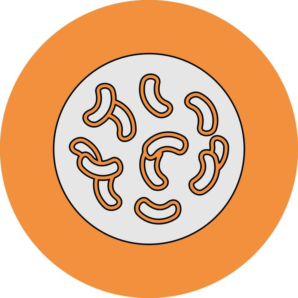 lactobacillus vector icono