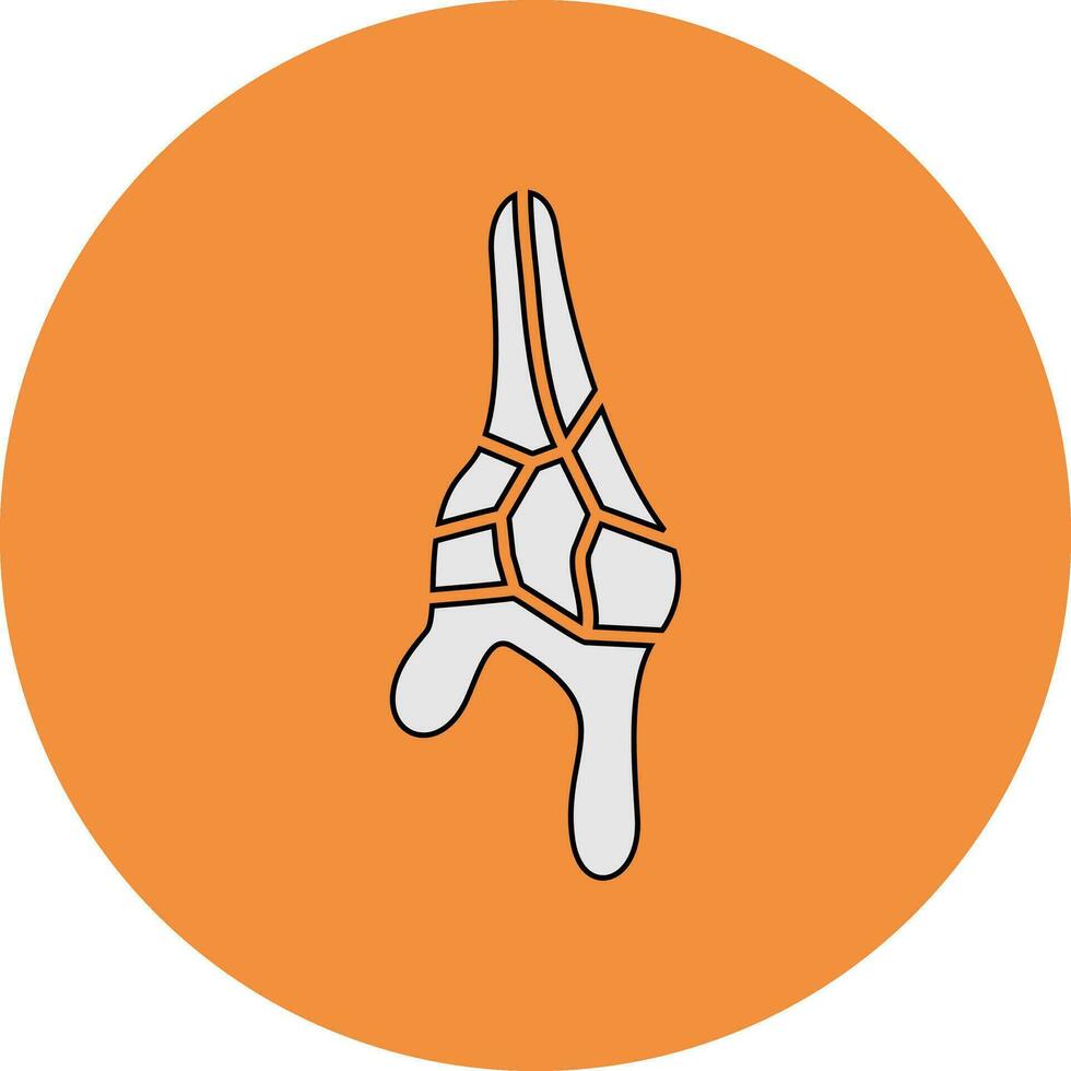 Ceratium Dinoflagellate Vector Icon