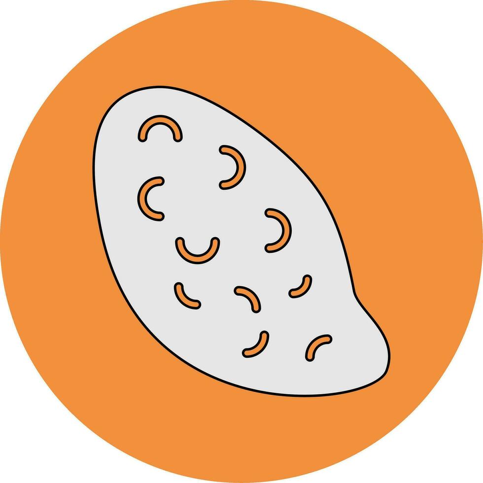 Sweet Potato Vector Icon