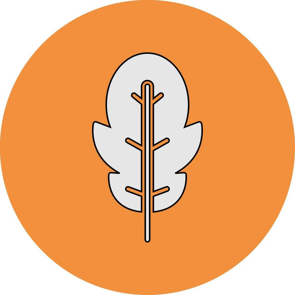 Arugula Vector Icon