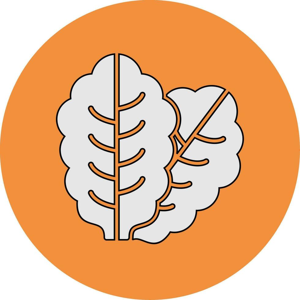 Lettuce Vector Icon