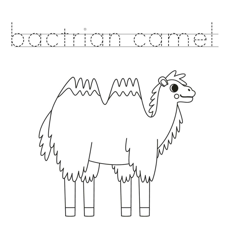 Trace the letters and color cartoon bactrian camel. Handwriting practice for kids. vector