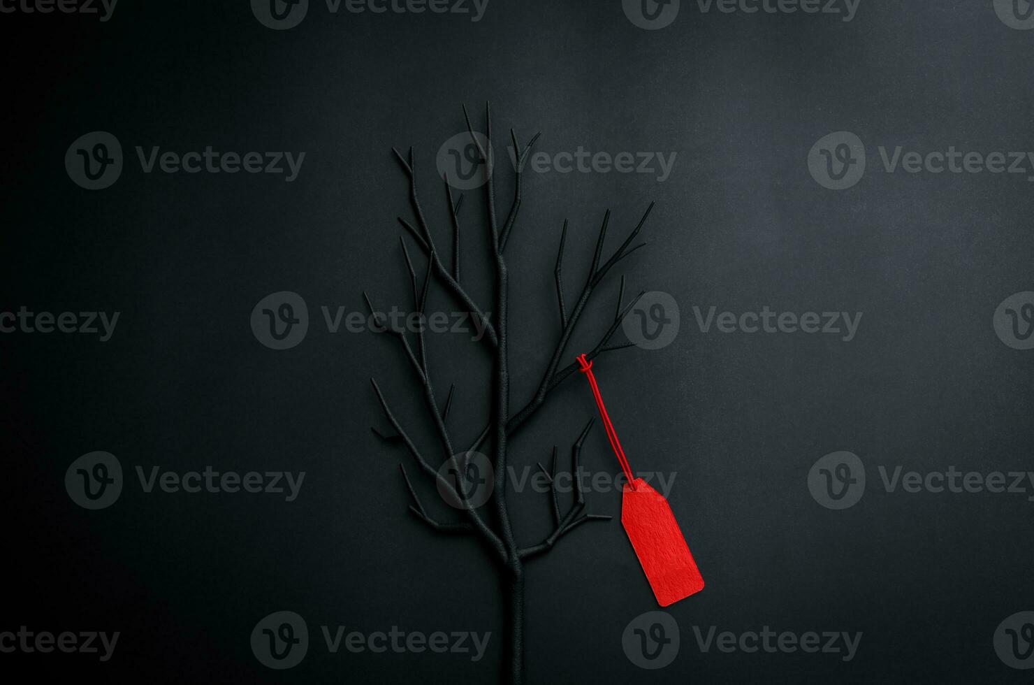 Black tree with branches with red price tag on black background for Black Friday shopping sale concept. photo