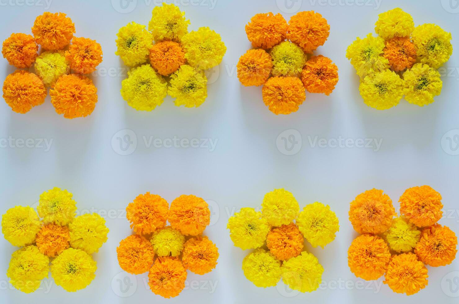 Decorative rangoli made from colorful marigold flowers for Diwali festival on white background with space for text. photo