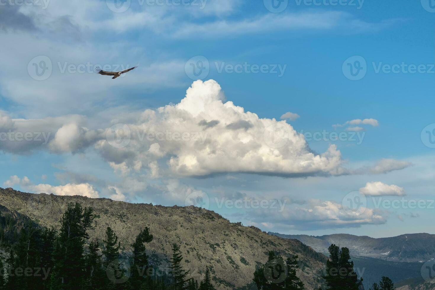 Huge white cloud in blue sky over giant green mountain with forest in sunny day. Scenic landscape with high mountain in shadow of cloud. Bird in the sky is flying against a cloud background. photo