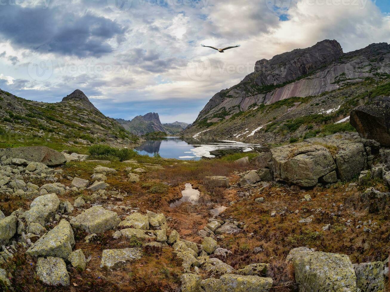 Vulture bird soars over a mountain valley with a freezing lake and red autumn stones. Rocky mountain valley with a flying bird. photo