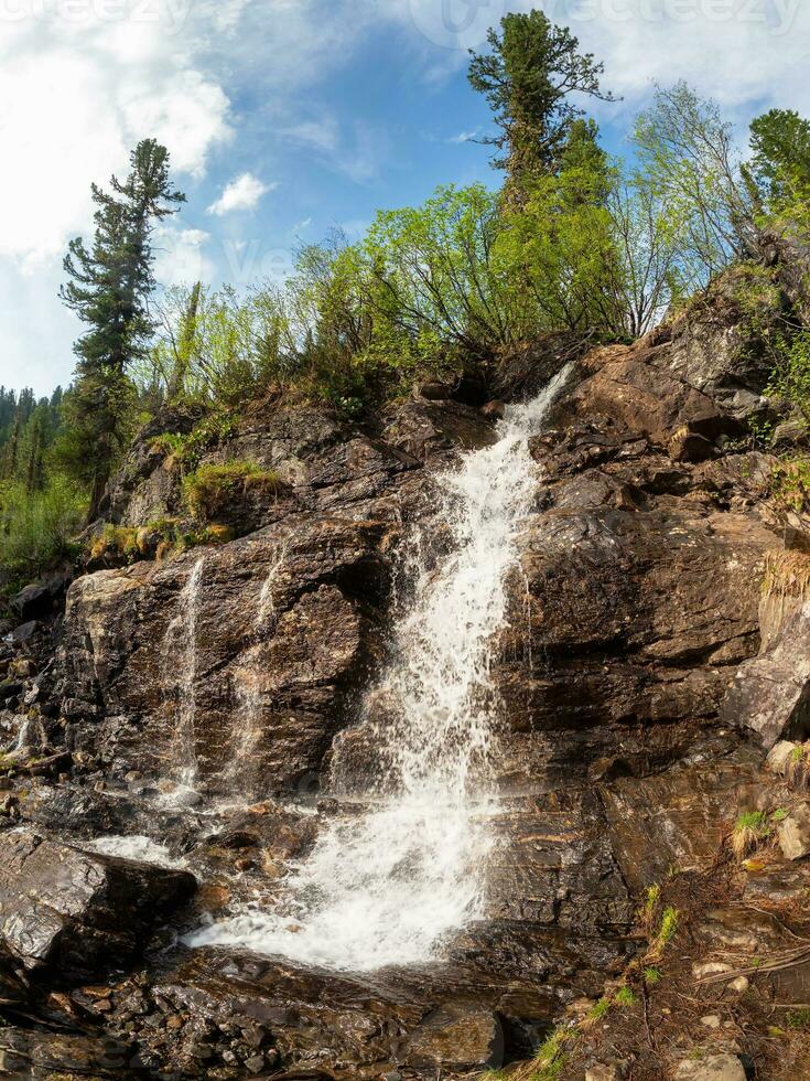 Scenic summer landscape with vertical big waterfall at mountain top in sunshine in the Ergaki Park. Russia, West Sayans. High falling water in Siberia region. photo