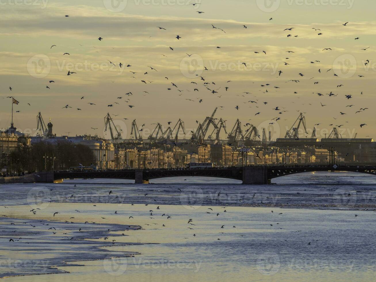 Spring evening St. Petersburg. Seagulls over the river against the backdrop of the urban landscape. Ice melts on the Neva River. Sunset view of the Palace Bridge, city life, postcard view. photo