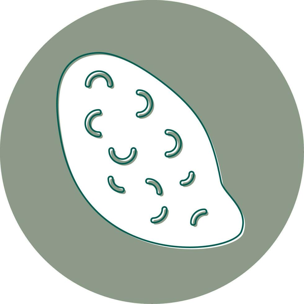Sweet Potato Vector Icon
