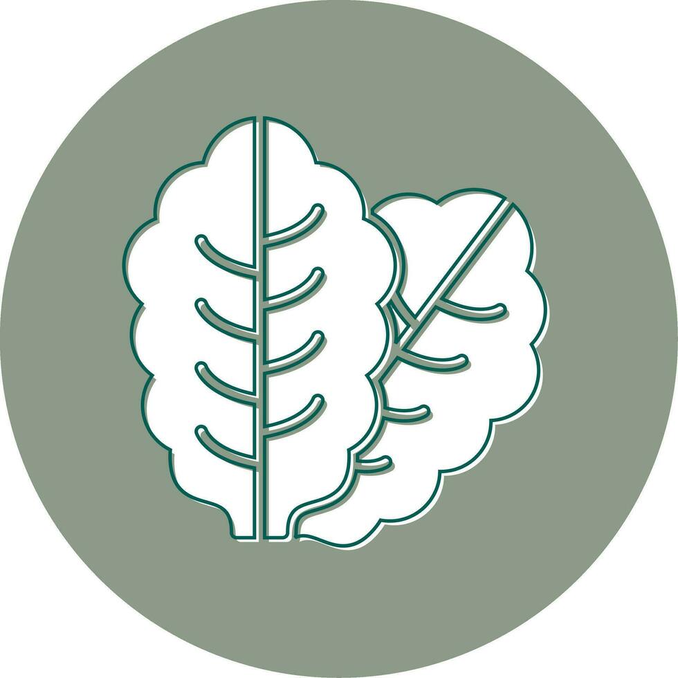Lettuce Vector Icon