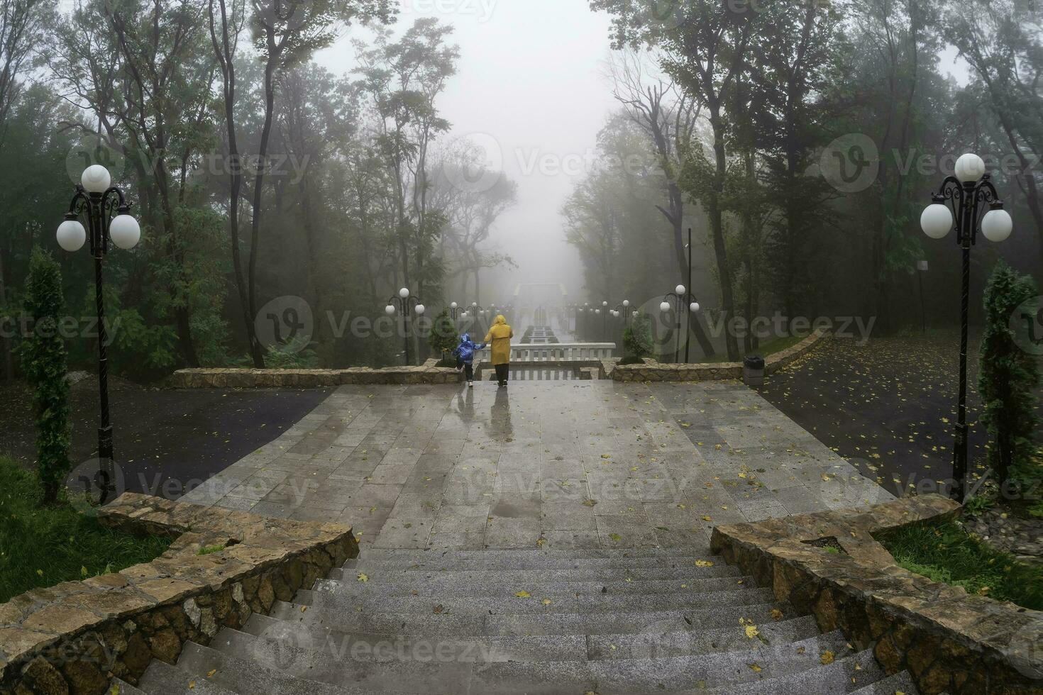 hermosa antiguo Roca escalera en el brumoso parque de zheleznovodsk foto