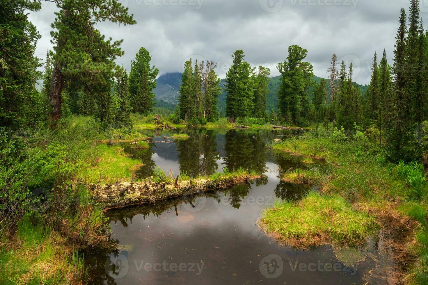 Mountain forest pond with fallen trees at the lakeshore. Lake in Ergaki on an summer morning among the taiga rocks with dramatic sky in the warm sun and trees. Mountain sunny landscape. photo